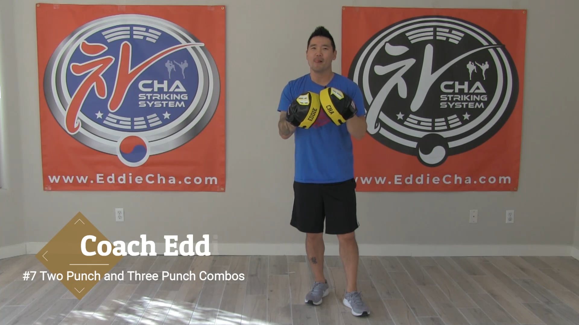 #3 Two Punch and Three Punch Combos