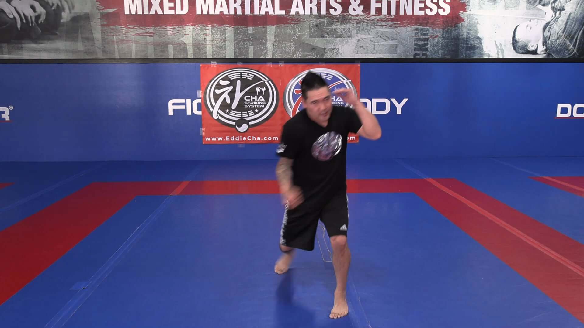 Eddie Cha Striking System