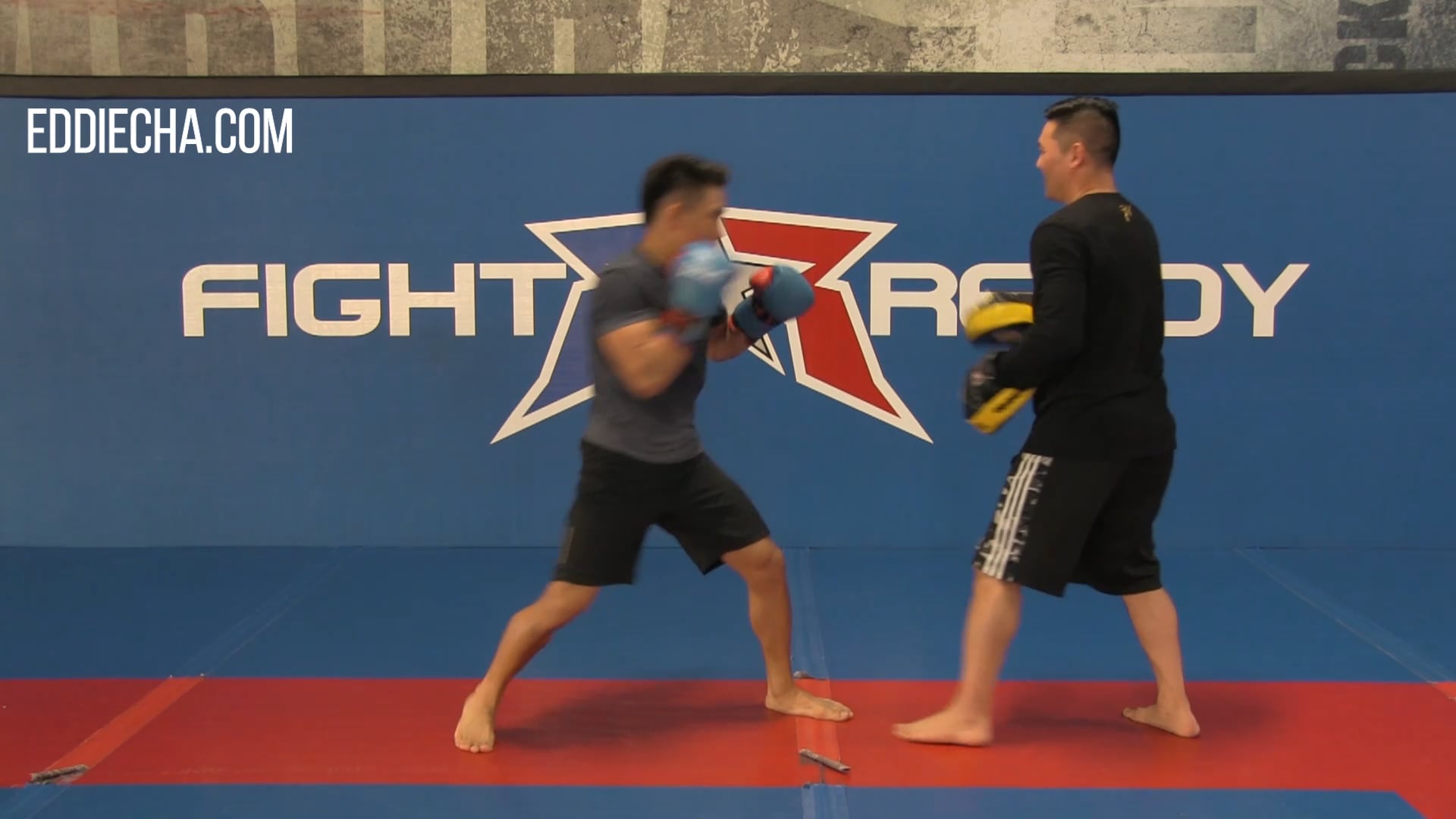 #7 How to Counter a Jab