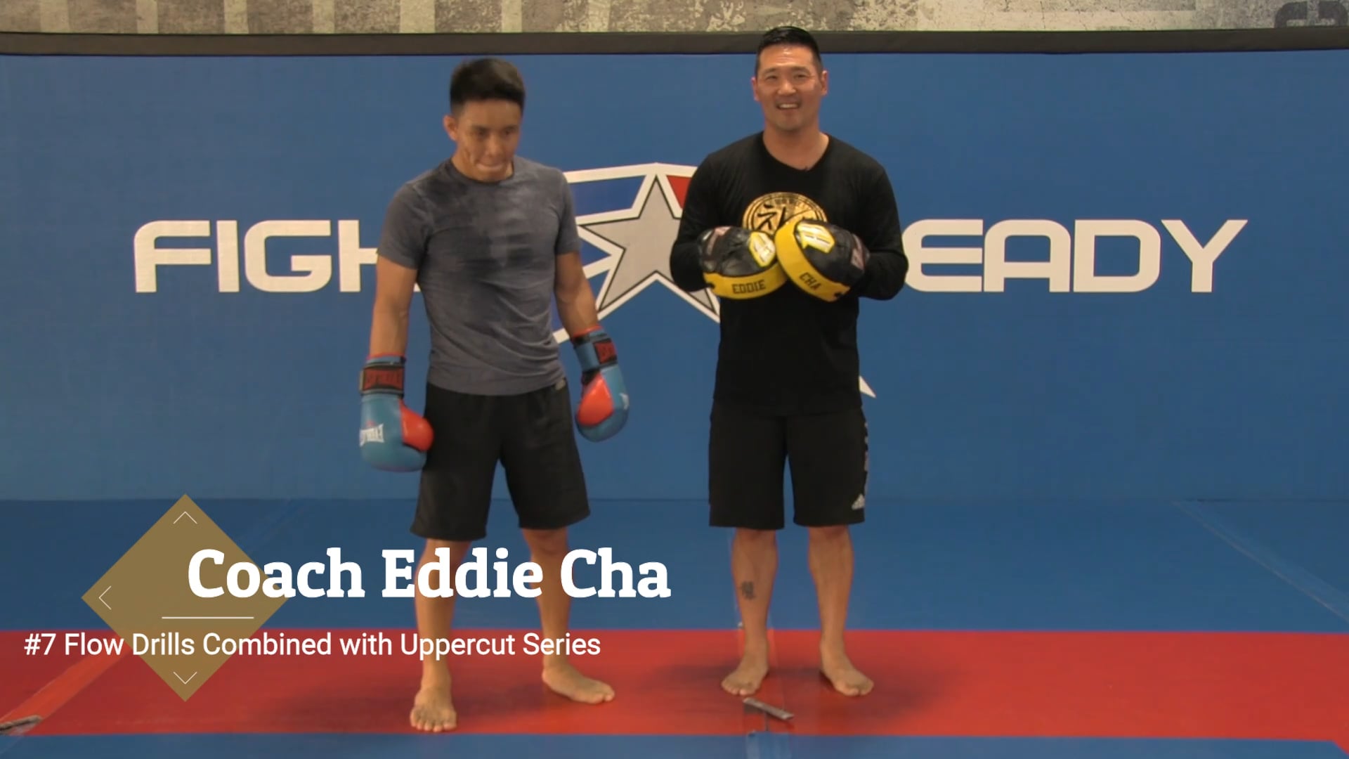 #6 Flow Drills Combined with Uppercut Series