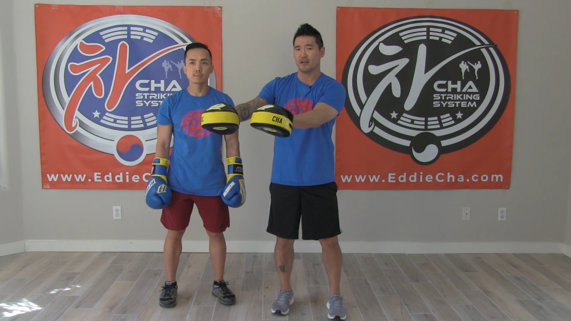 #1 Multiple Two Punch Combos