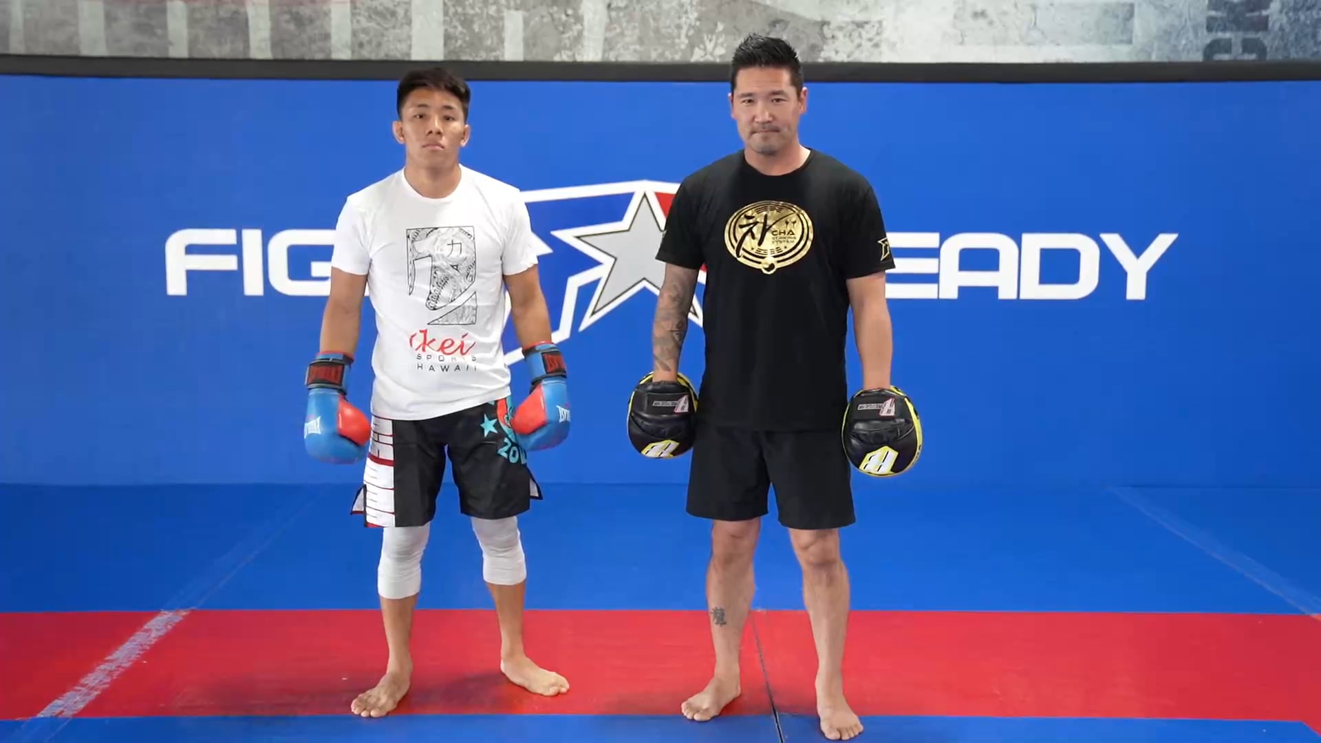 #1 Three Ways to Counter a Jab