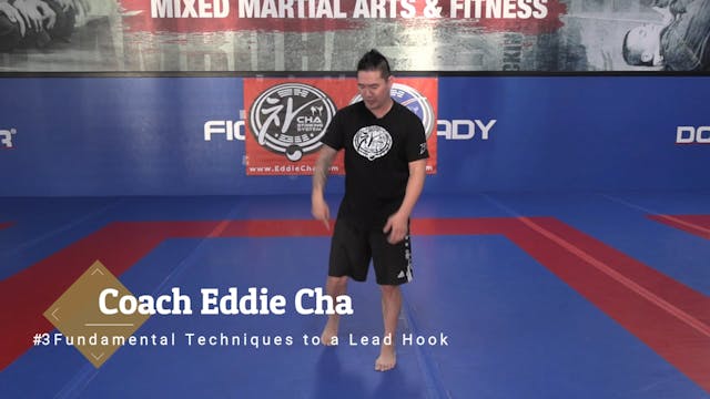 #3 Fundamental Techniques to a Lead Hook