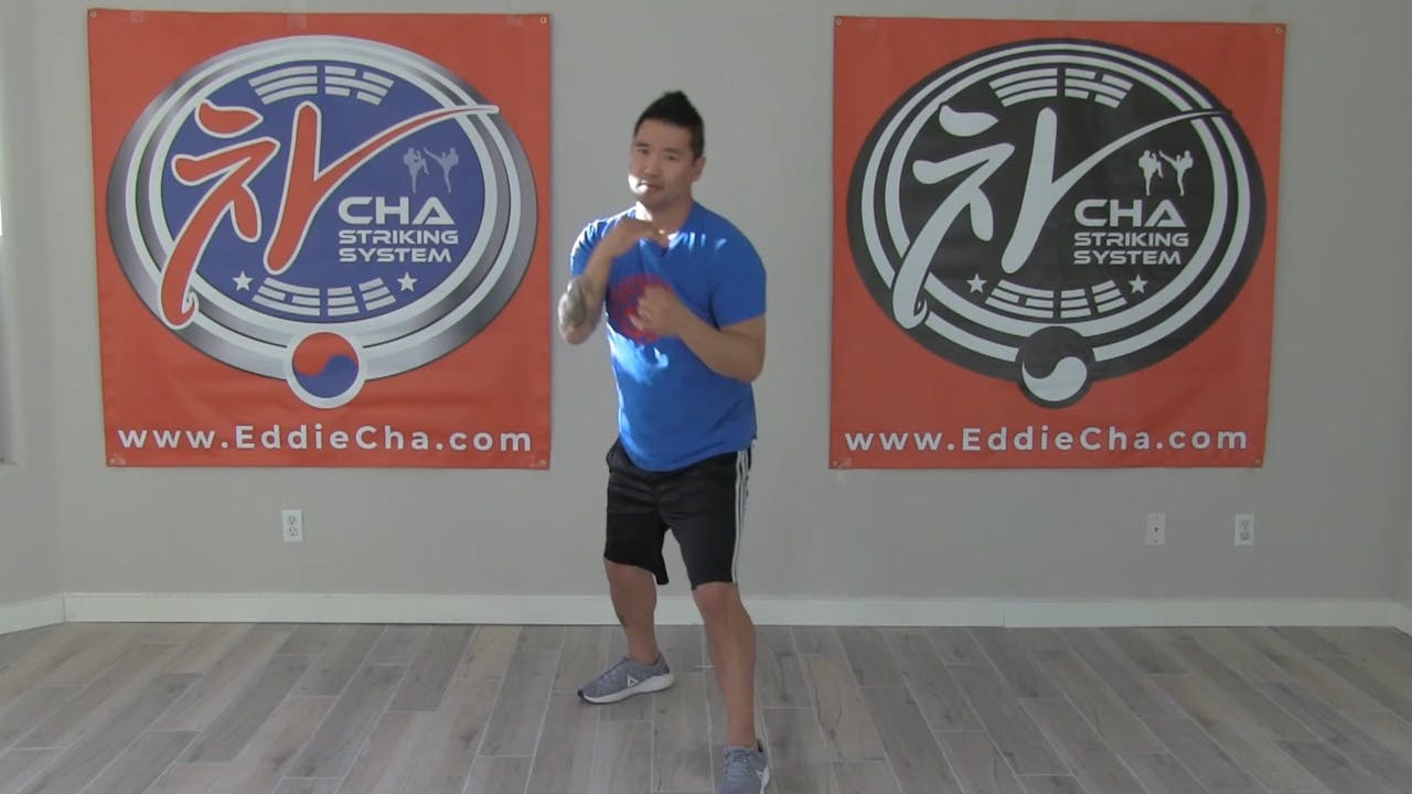 3 Two Punch Combos Eddie Cha Striking System
