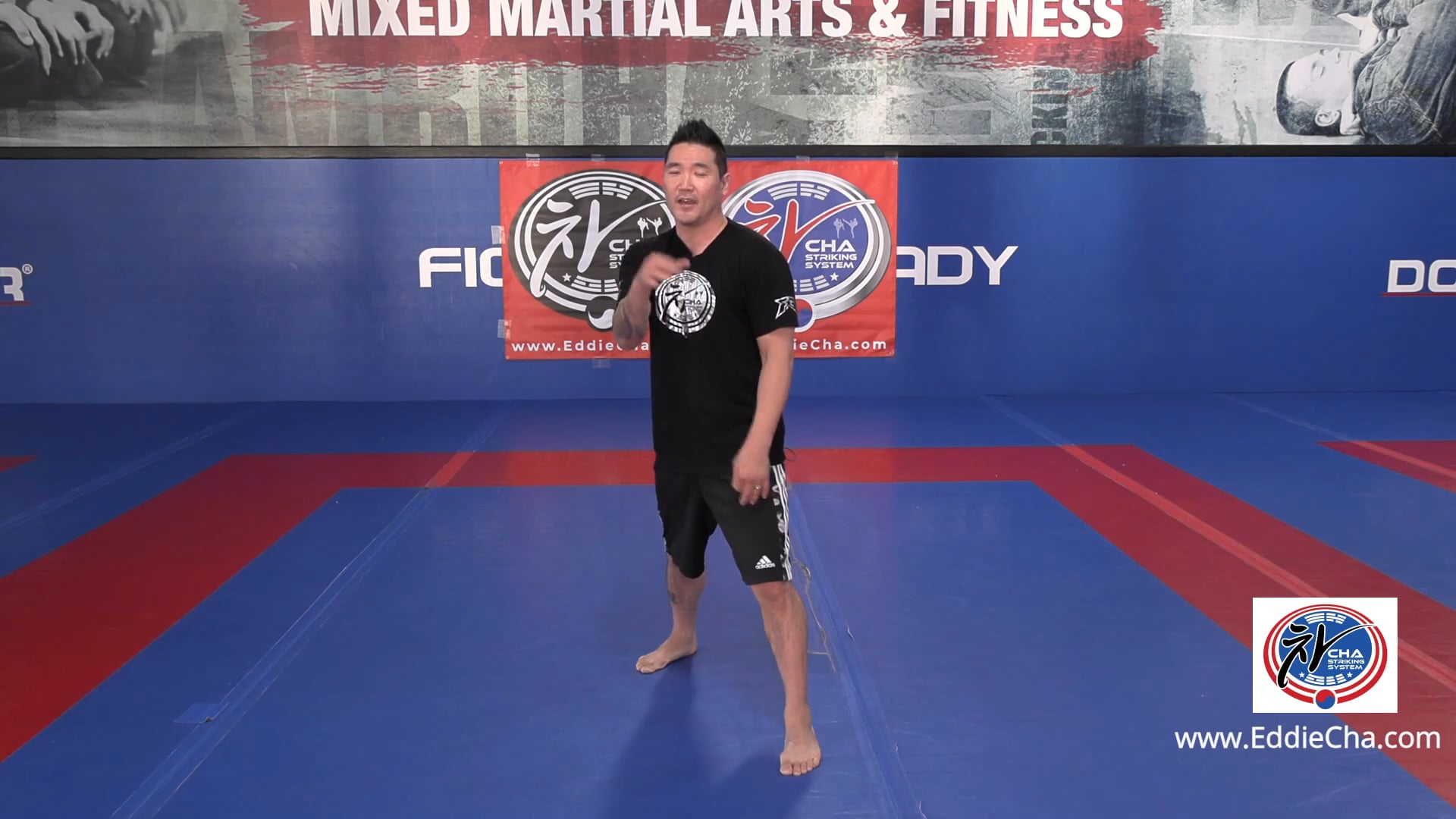 #5 Fundamental Techniques to a Lead Uppercut