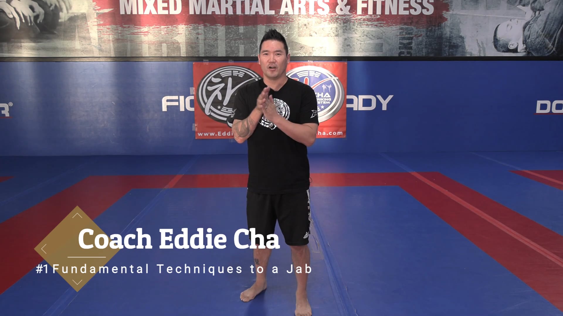 #1 Fundamental Techniques to a Jab