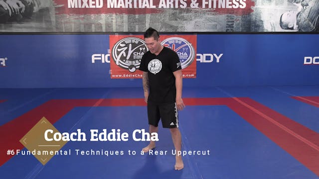 #6 Fundamental Techniques to a Rear U...