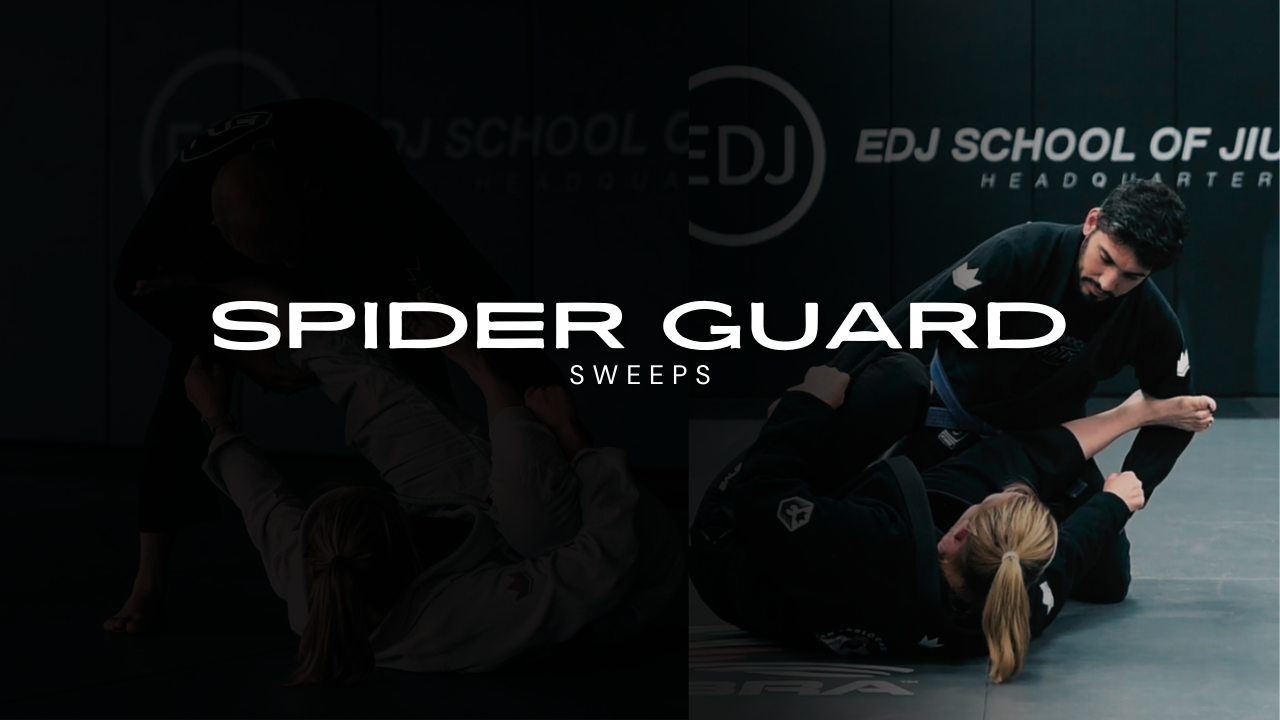 SWEEPS FROM SPIDER GUARD - KIMBERLY BOWSER