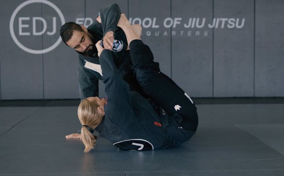 SPIDER GUARD INVERSION