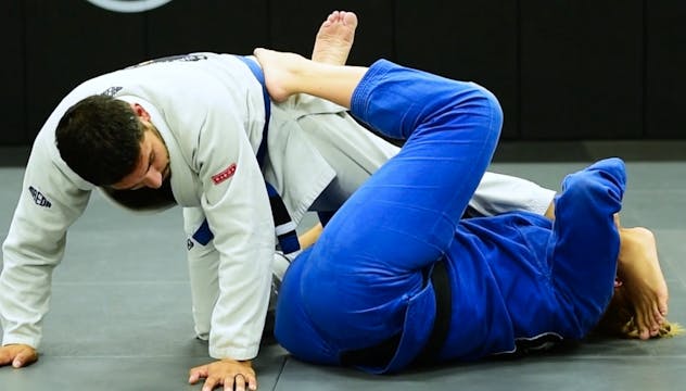 5. TURTLE LEG LOCK ENTRANCE