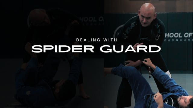 DEALING WITH SPIDER GUARD