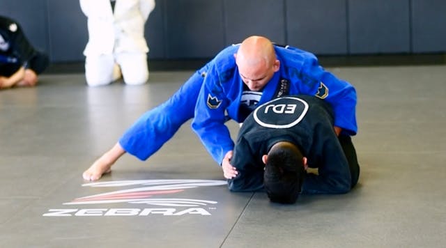 BACK TAKE FROM TURTLE