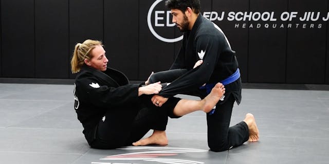 SPIDER GUARD SCISSOR SWEEP WITH DEEP ...