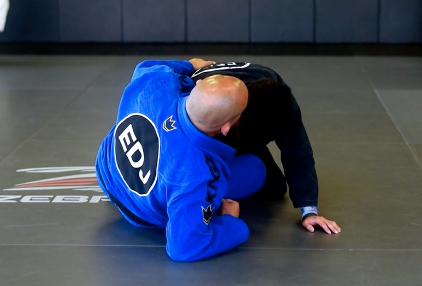 BUTTERFLY TECHNICAL LIFT TO THE BACK