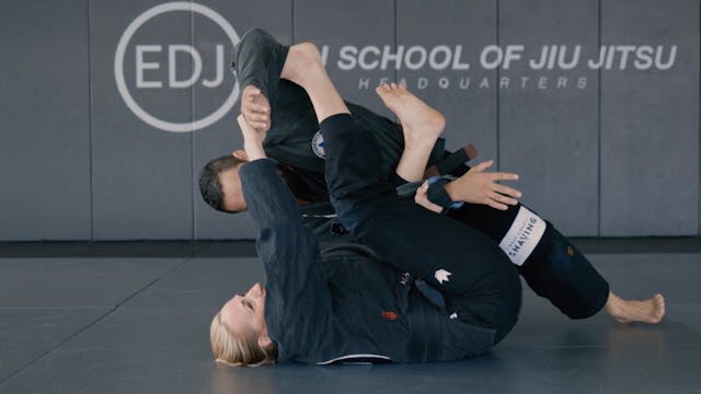 SPIDER GUARD INVERSION SWEEP