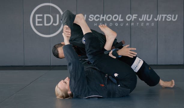 SPIDER GUARD INVERSION SWEEP