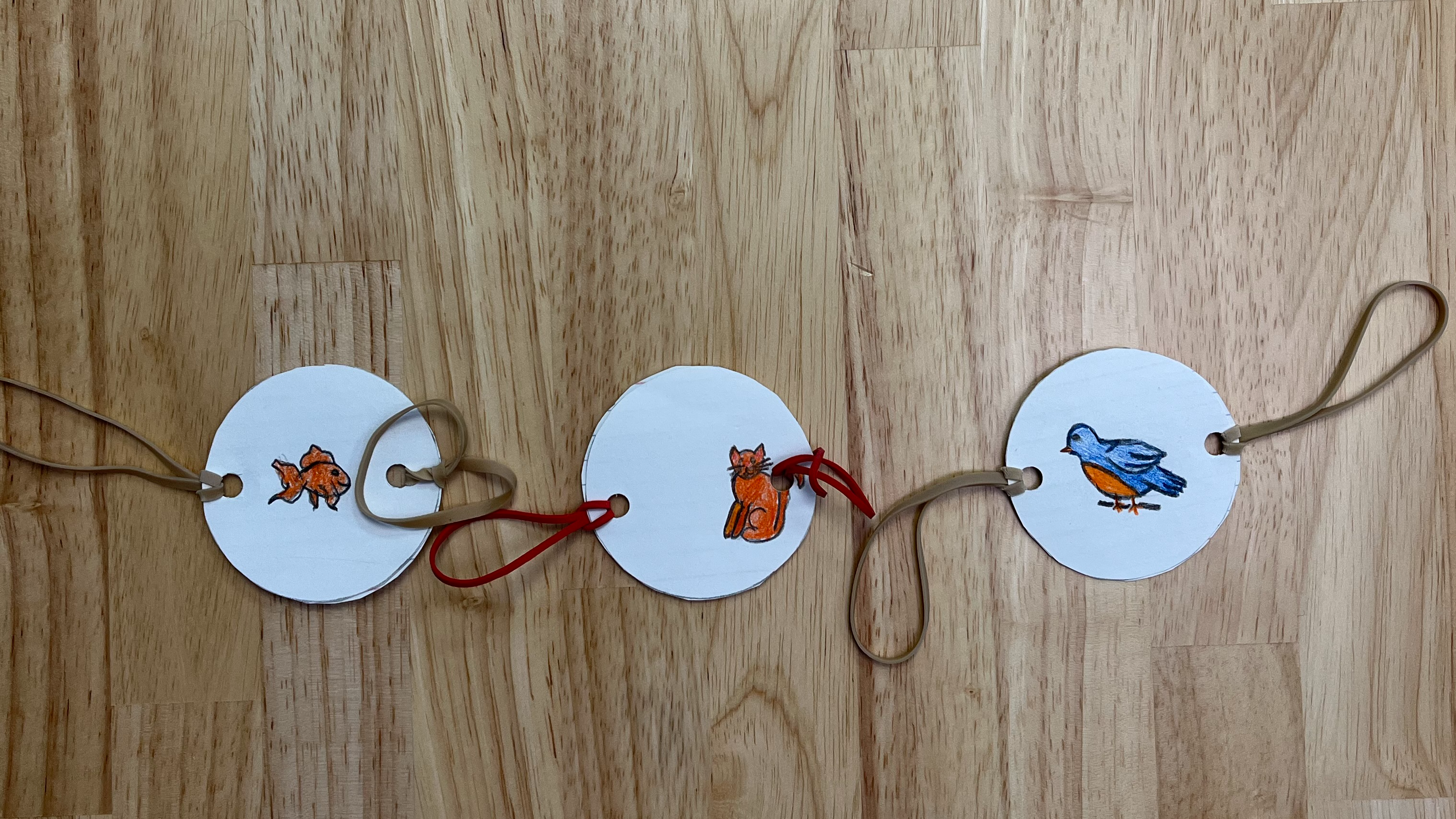 Inspiration Station: Thaumatropes