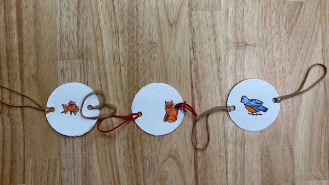 Inspiration Station: Thaumatropes