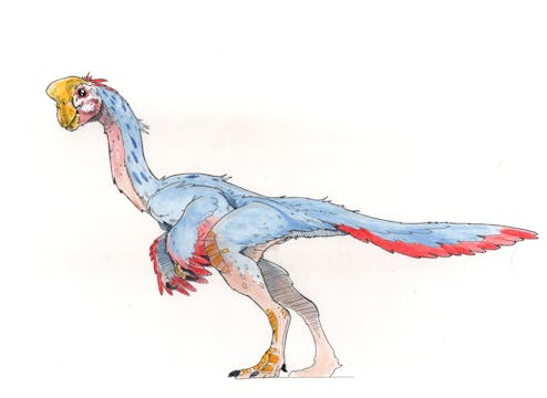 Oviraptor 