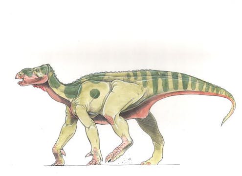 Iguanodon