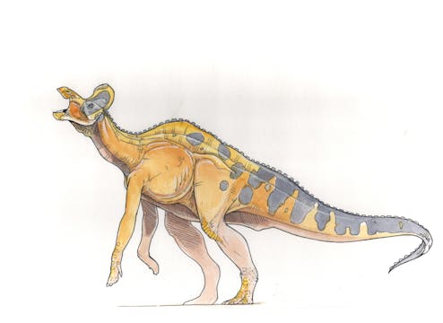 Hypacrosaurus