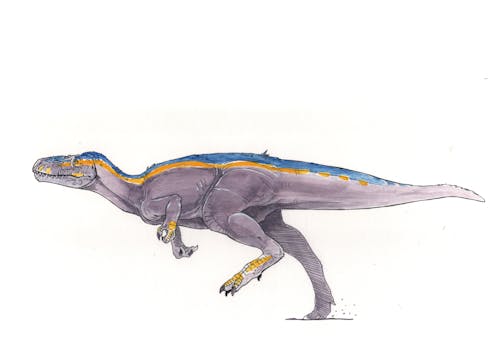 Neovenator