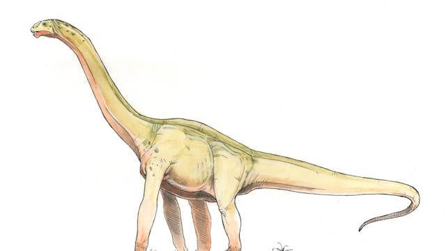 Futalognkosaurus
