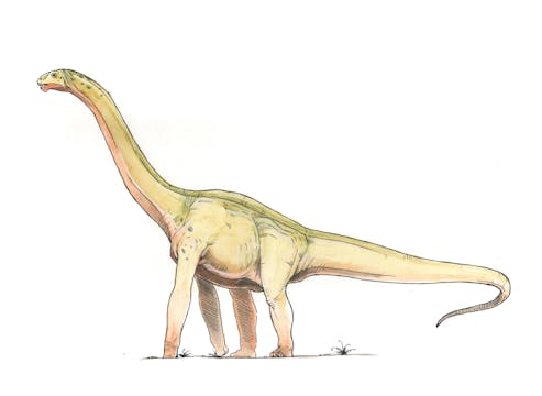 Futalognkosaurus