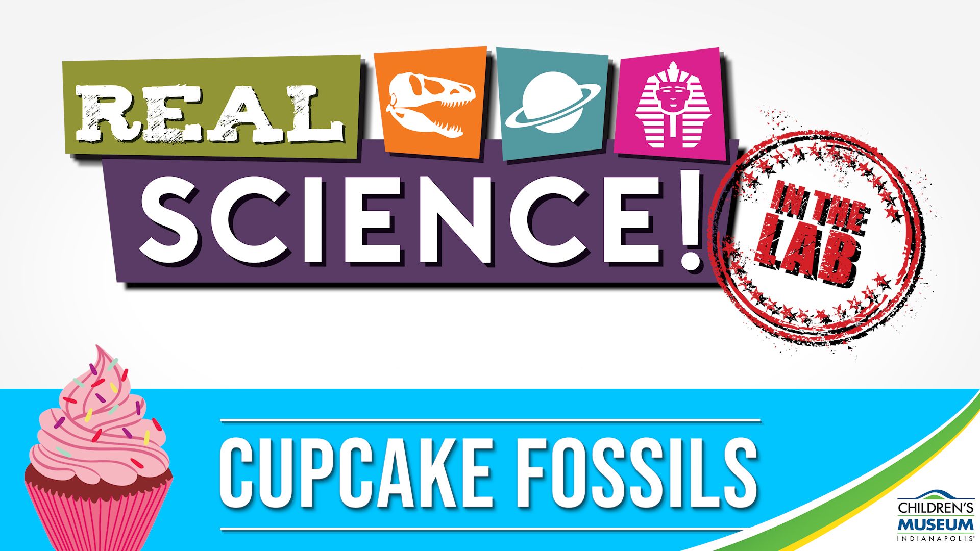 Real Science! Discover Fossilization Using Cupcakes