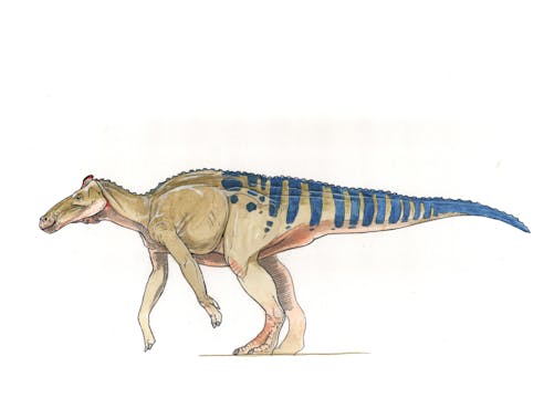 Edmontosaurus