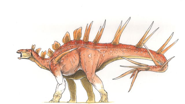 Kentrosaurus