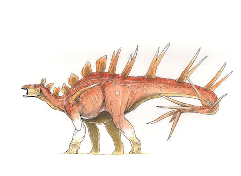 Kentrosaurus