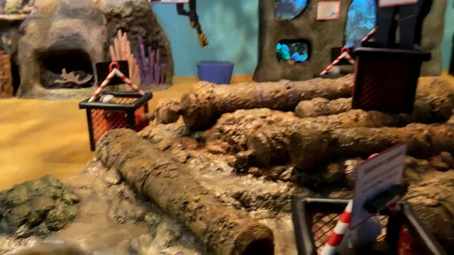 Museum in Minutes: Treasures of the E...