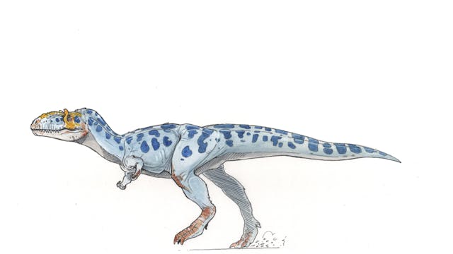 Gorgosaurus