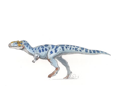 Gorgosaurus