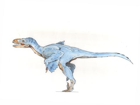 Utahraptor