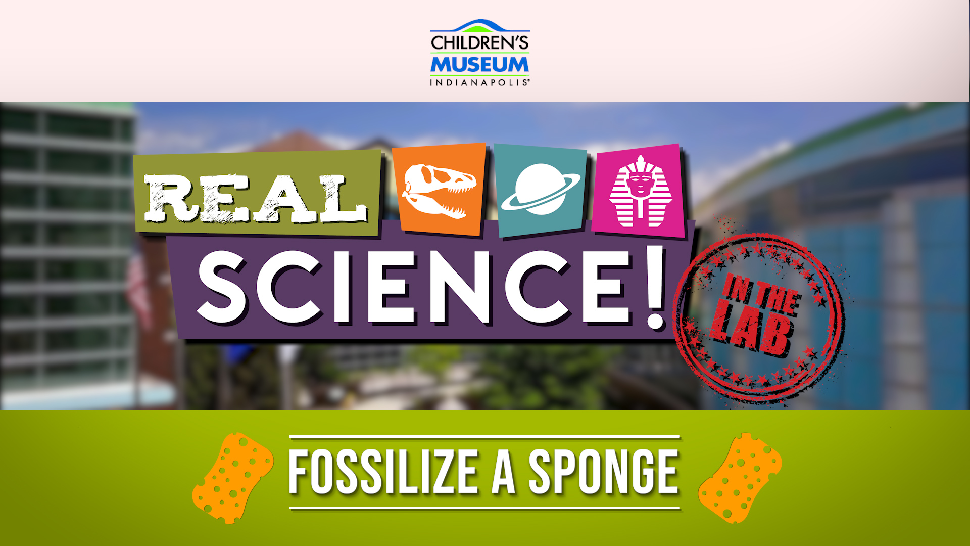 Real Science! Fossilize a Sponge