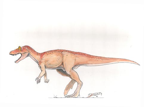 Cryolophosaurus