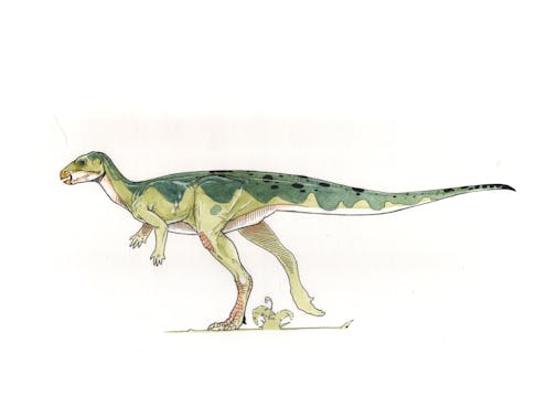 Qantassaurus