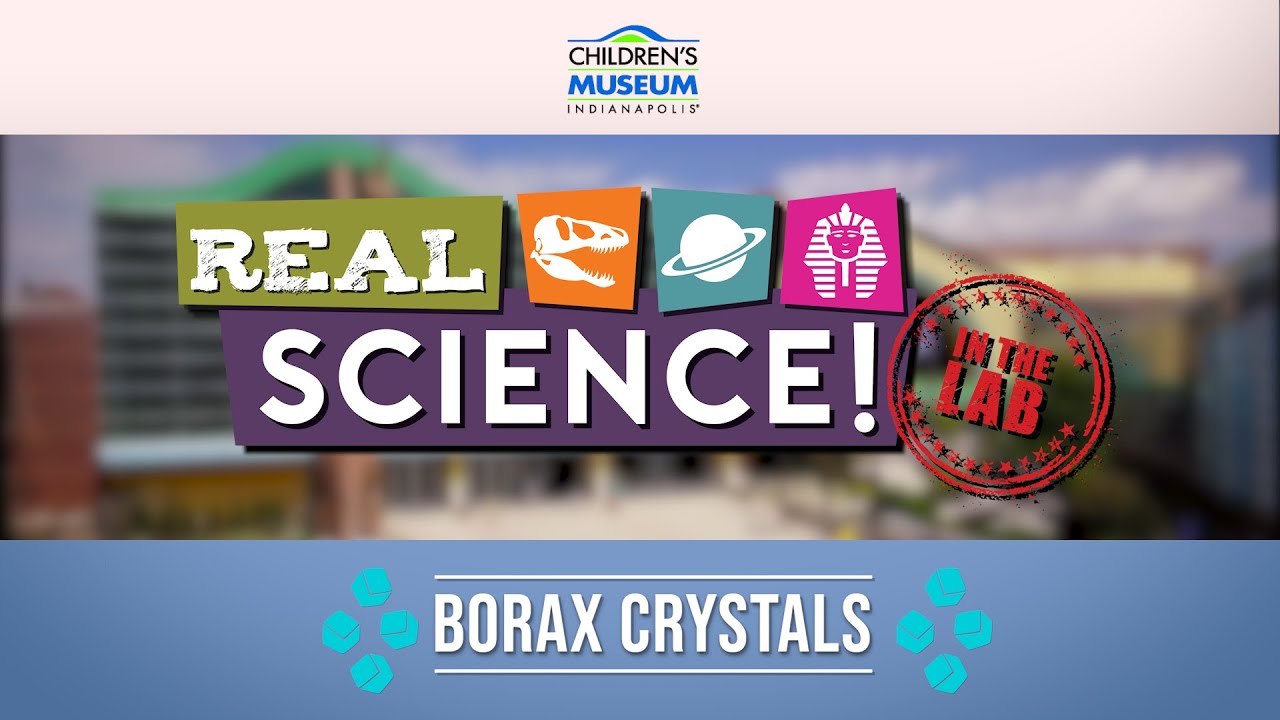 Real Science! Borax Crystals