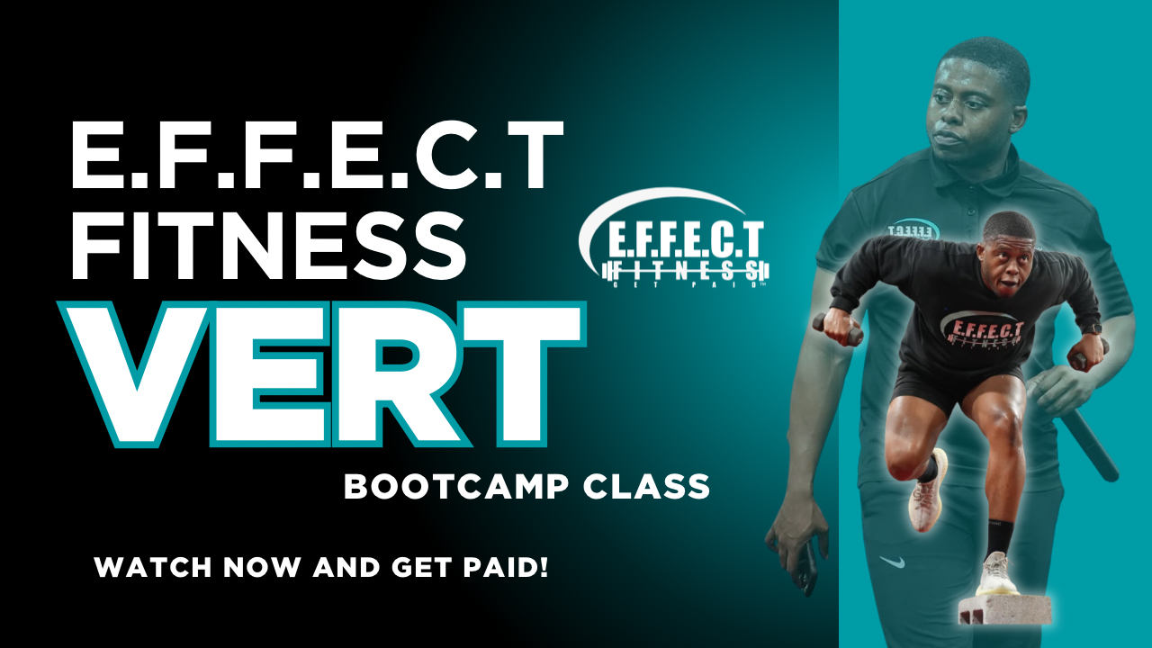 Vert Bootcamp - 01/08/2026, 23:23:24