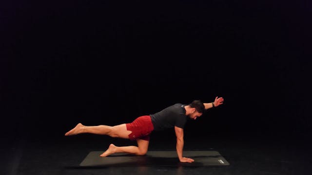 Activation des capacités corps entier #3