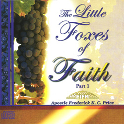 The Little Foxes of Faith
