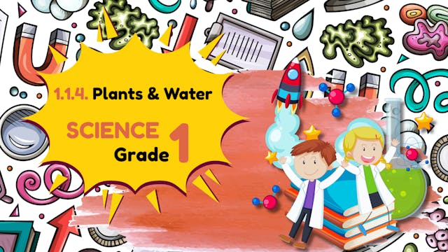 Plants need water