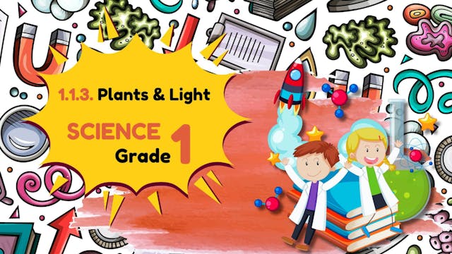 Plants and Light