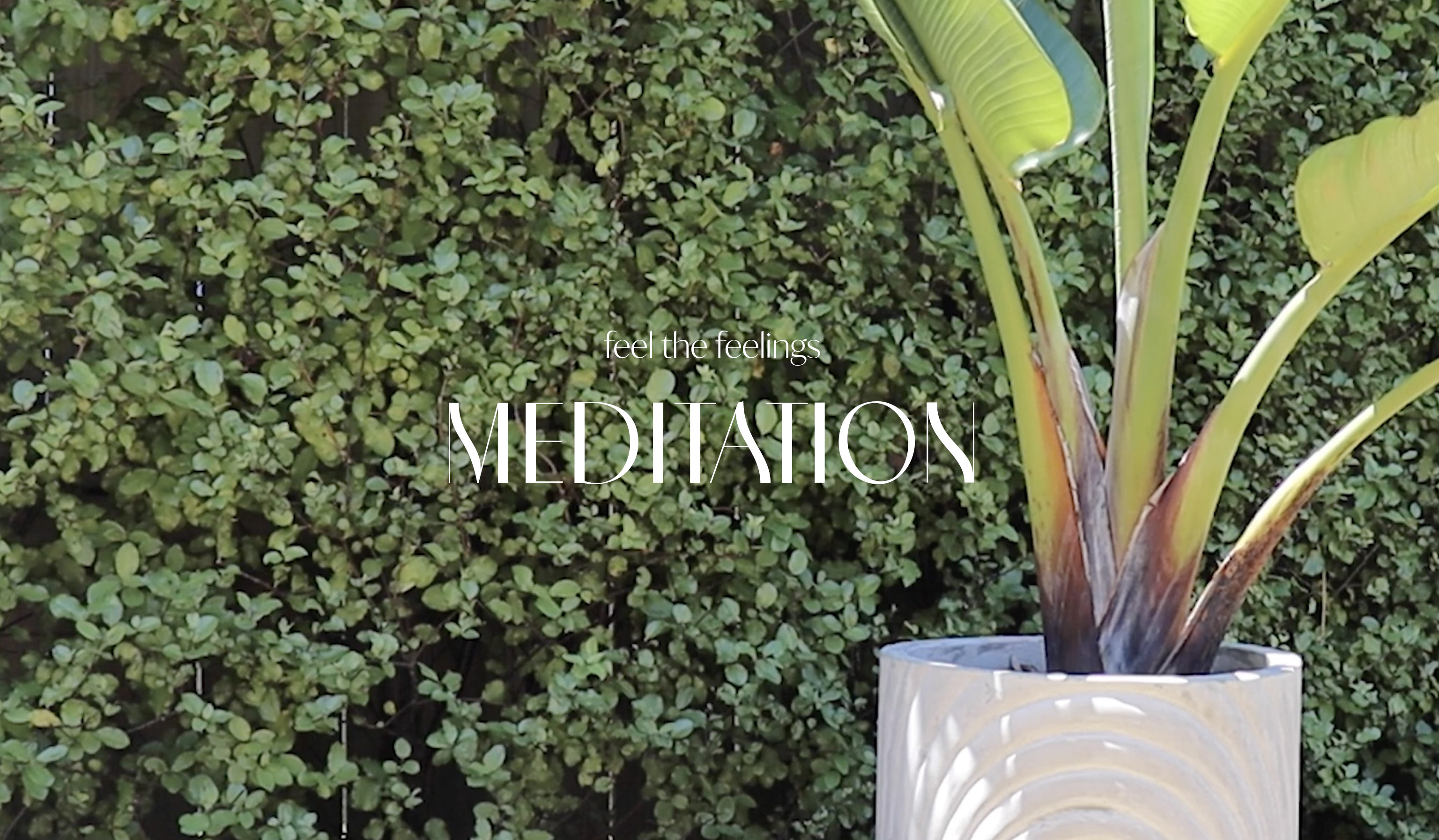 Meditation: Feel the Feelings