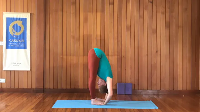 2 hr Class 3 - Forward Bends