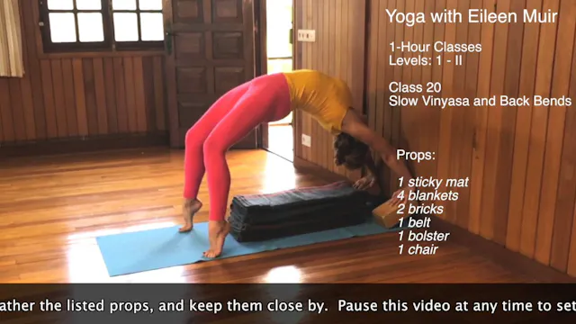 Class 20 - Slow Vinyasa and Back Bends