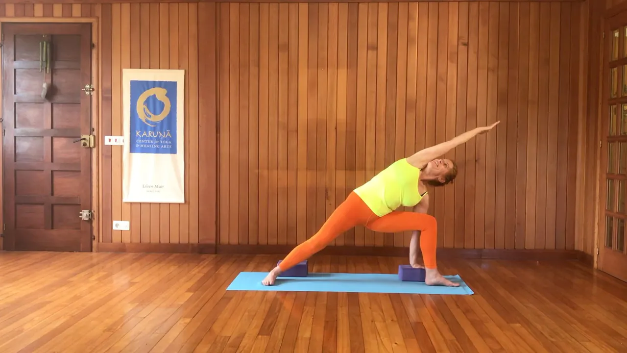 2 hr Class 2 - Standing Poses