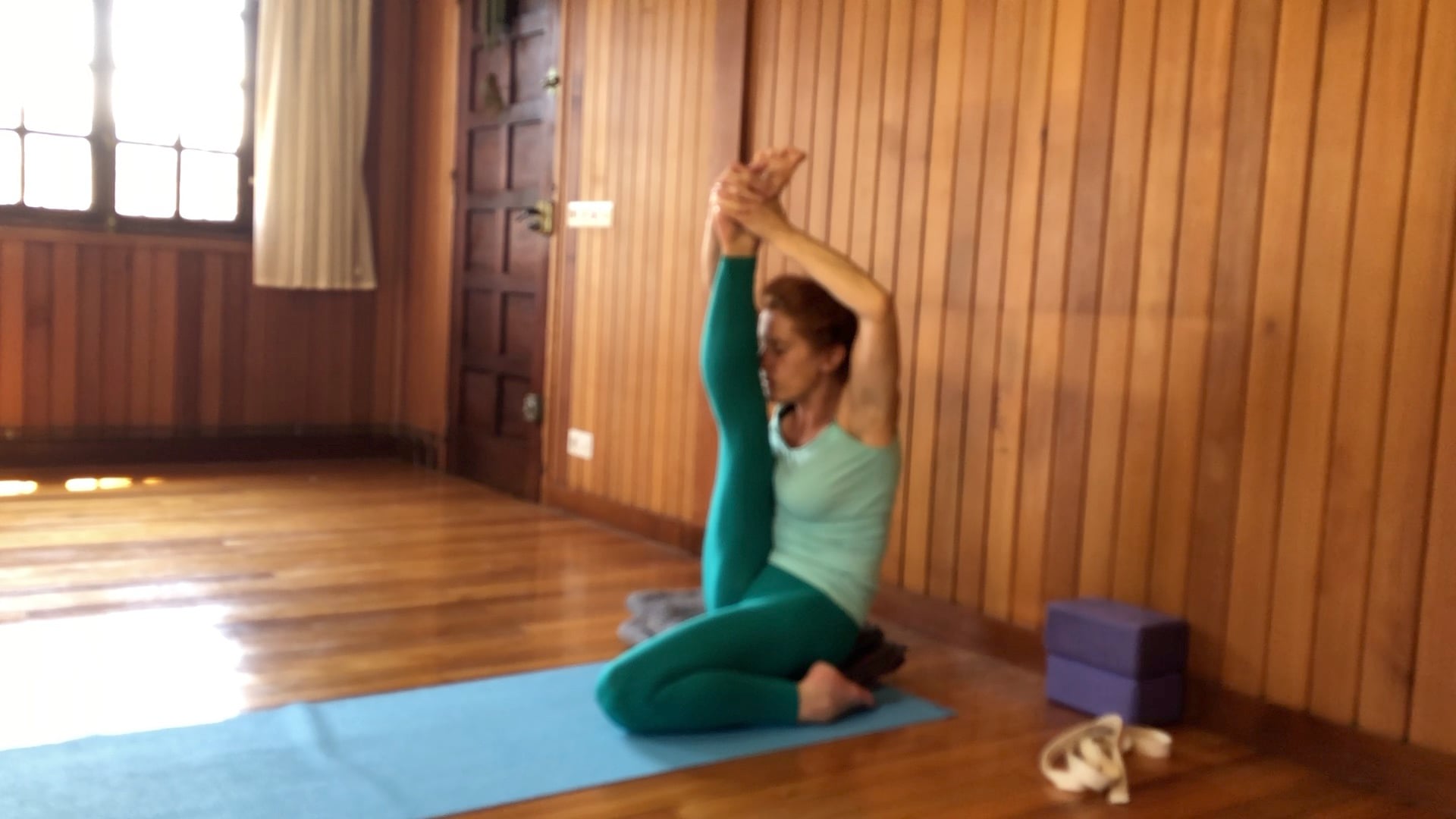 2 hr Class 12 - Forward Bends